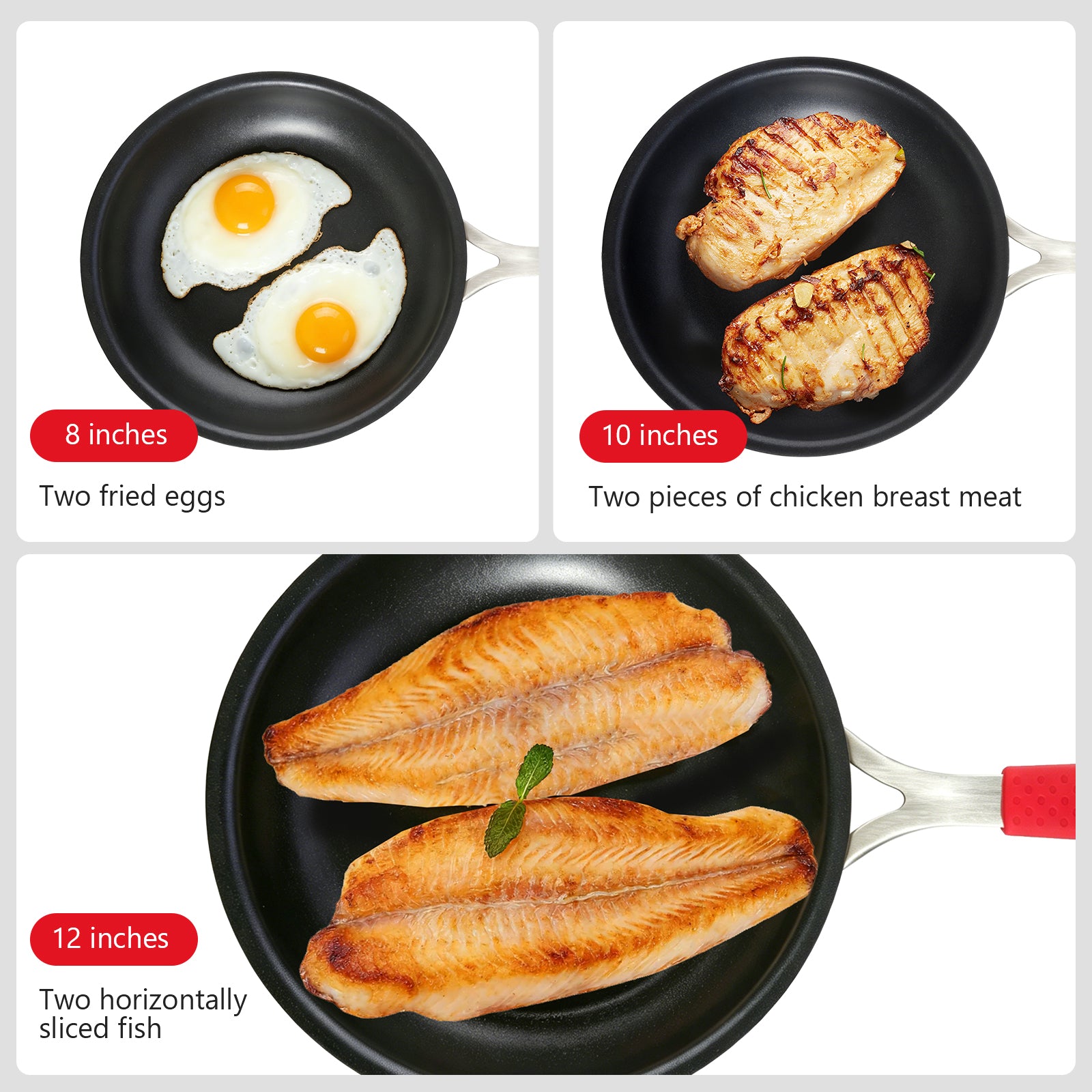 ecomposer-Size-8-inch,ecomposer-Size-10-inch,ecomposer-Size-12-inch